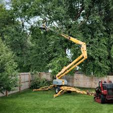 Best Firewood Processing and Delivery  in Wynantskill, NY